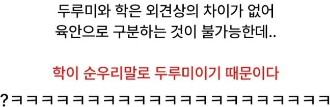 학과 두루미를 구분하기 어려운 이유.jyp_2.webp