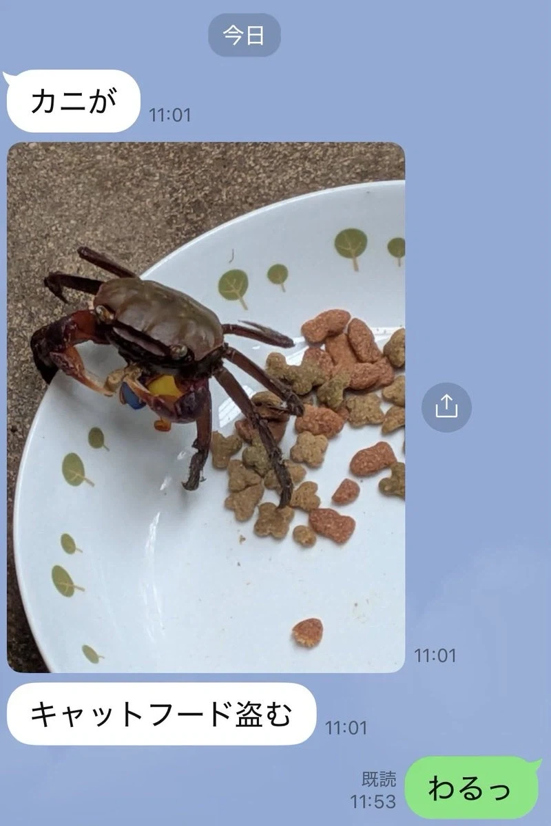 겟맘.JPG_2.webp