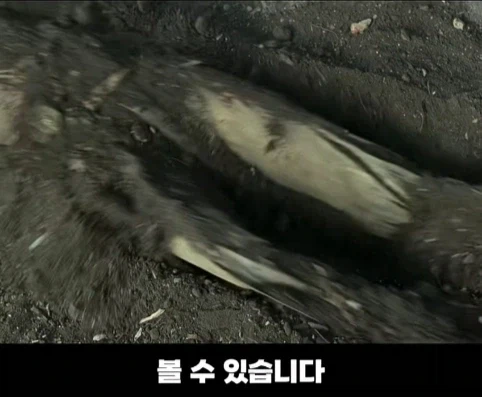 배우가 한번 해보고 포기한 영화 장면.jpg_25.webp
