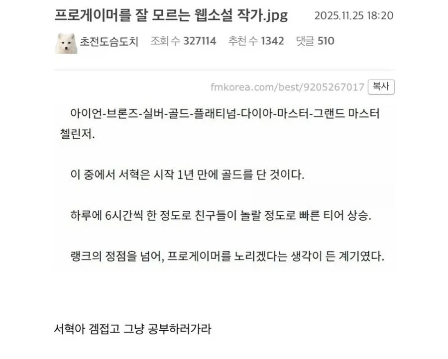 프로게이머를 잘 모르는 웹소설 작가.jpg_1.webp