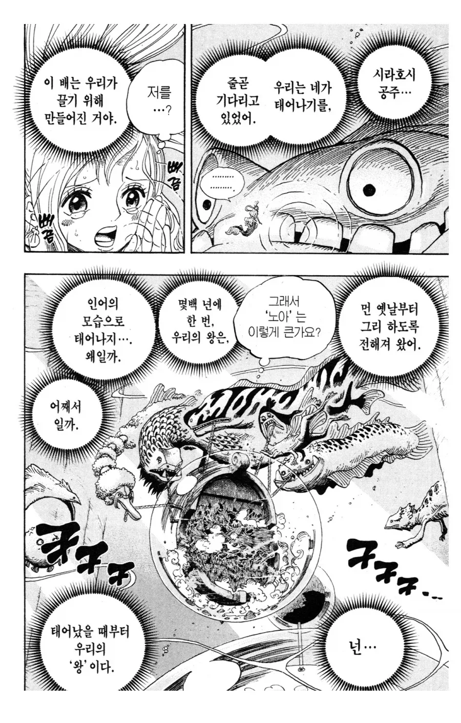 원피스 해왕류 관련 잘모르는거_5.webp