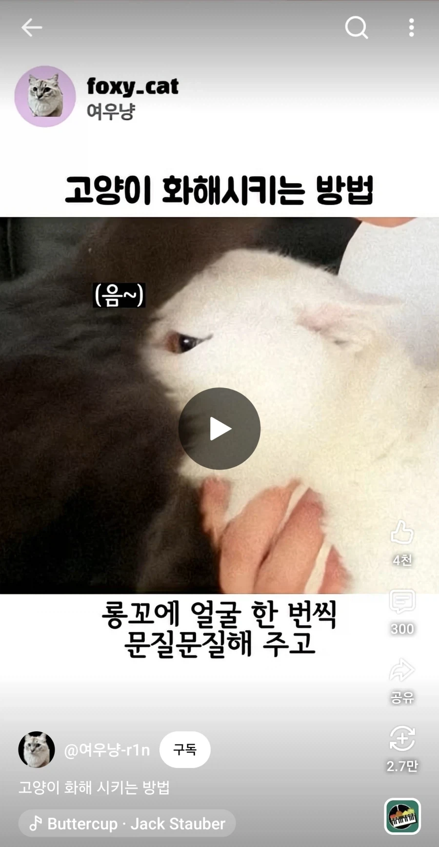 고양이 화해 시키는 방법.jpg_1.webp