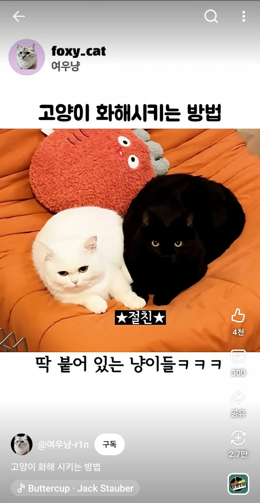 고양이 화해 시키는 방법.jpg_3.webp