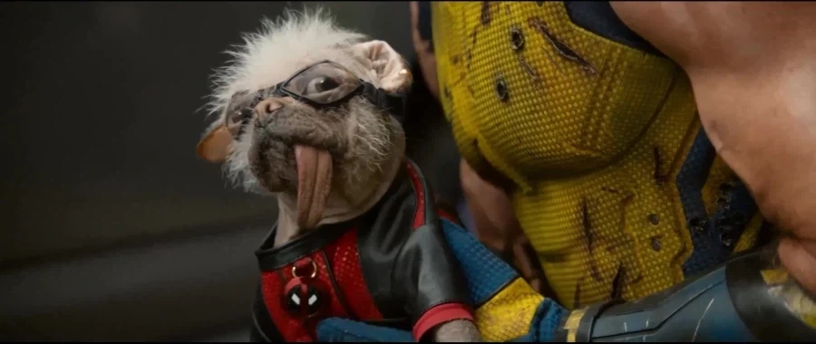 MCU)사악한 데드풀_12.webp