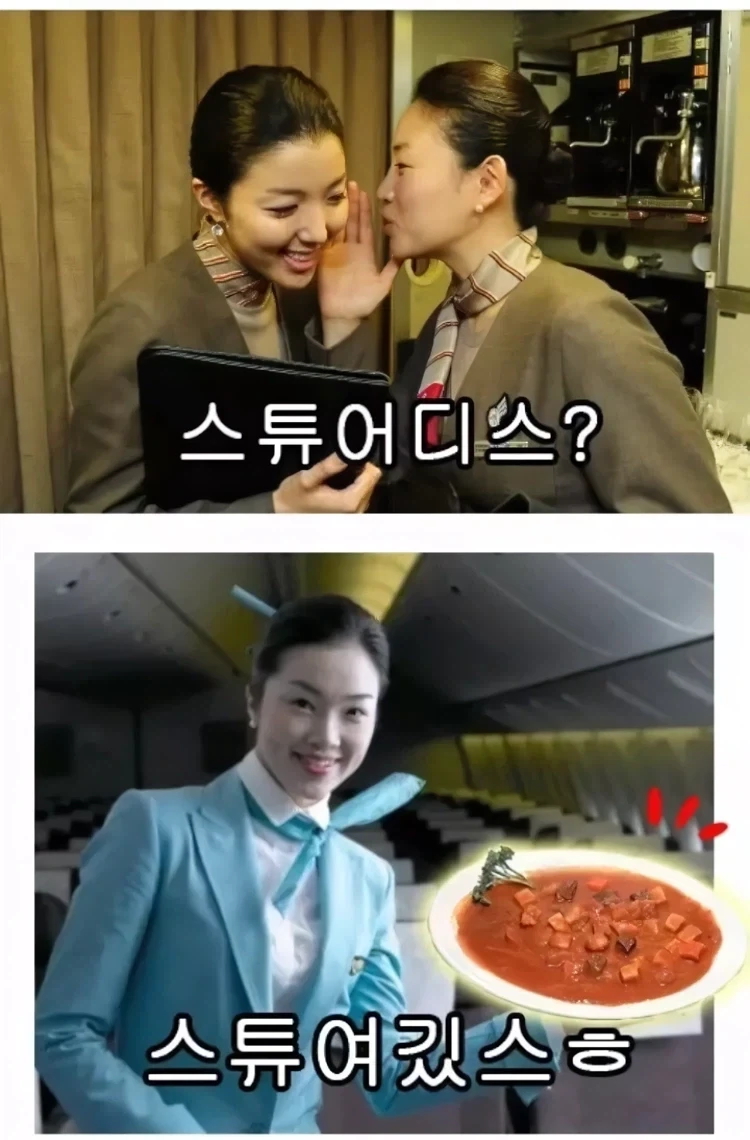 사람들이 좋아한다는 스튜어디스 사진_1.webp