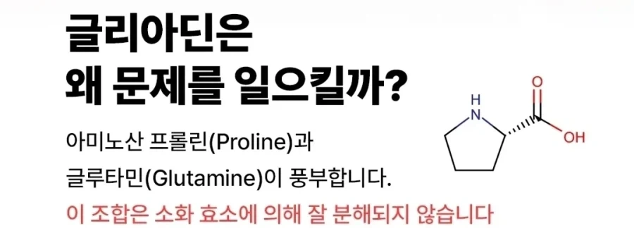 밥보다 면이나 빵이 소화가 잘 안되는 이유.eu_1.webp