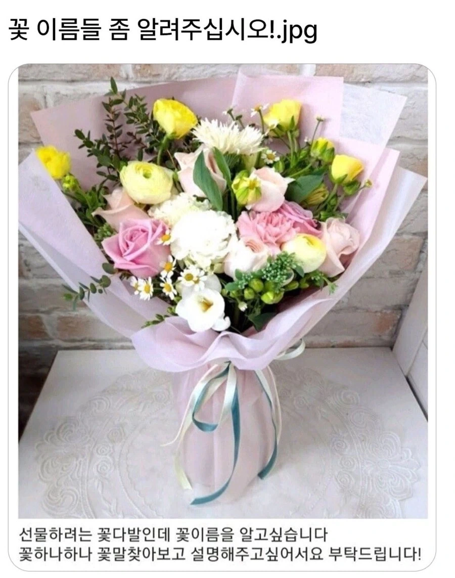 꽃말 그딴거 찾지말고 별자리 연애운이나 보러 ㄱ… 사랑의 맹세입니다.jpg_1.webp