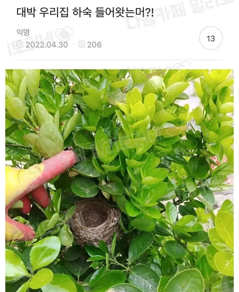 대박 우리집 하숙 들어왔는머?!_1.webp