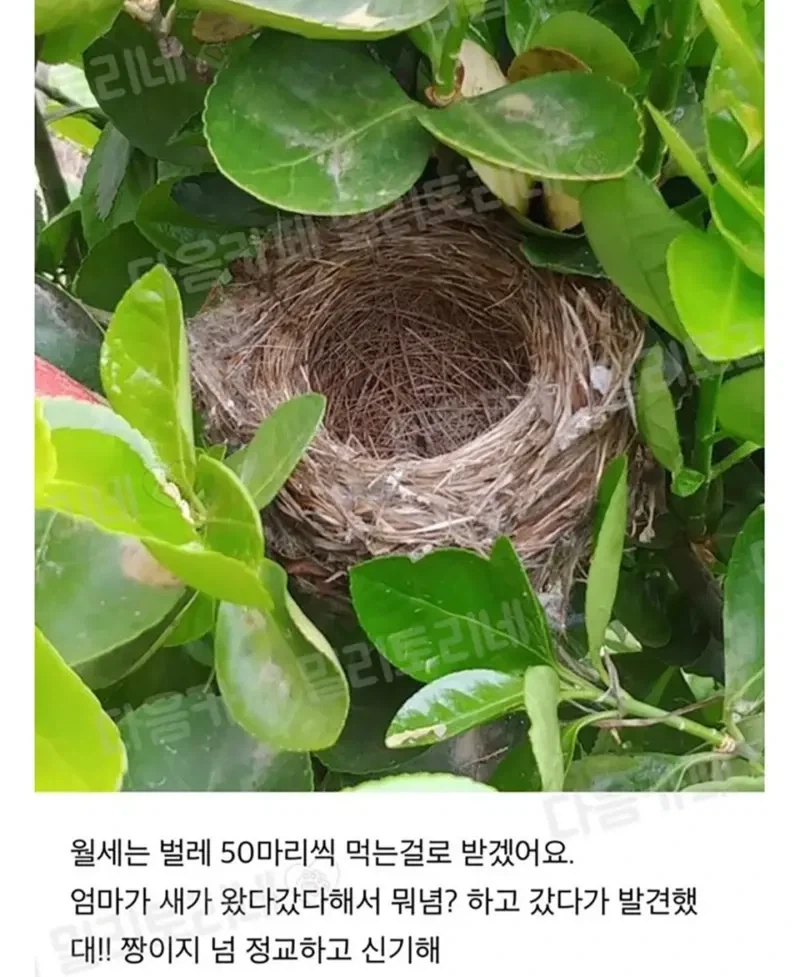 대박 우리집 하숙 들어왔는머?!_2.webp