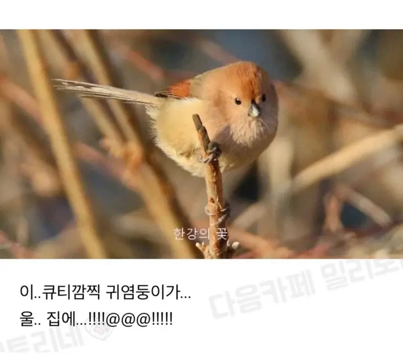 대박 우리집 하숙 들어왔는머?!_5.webp