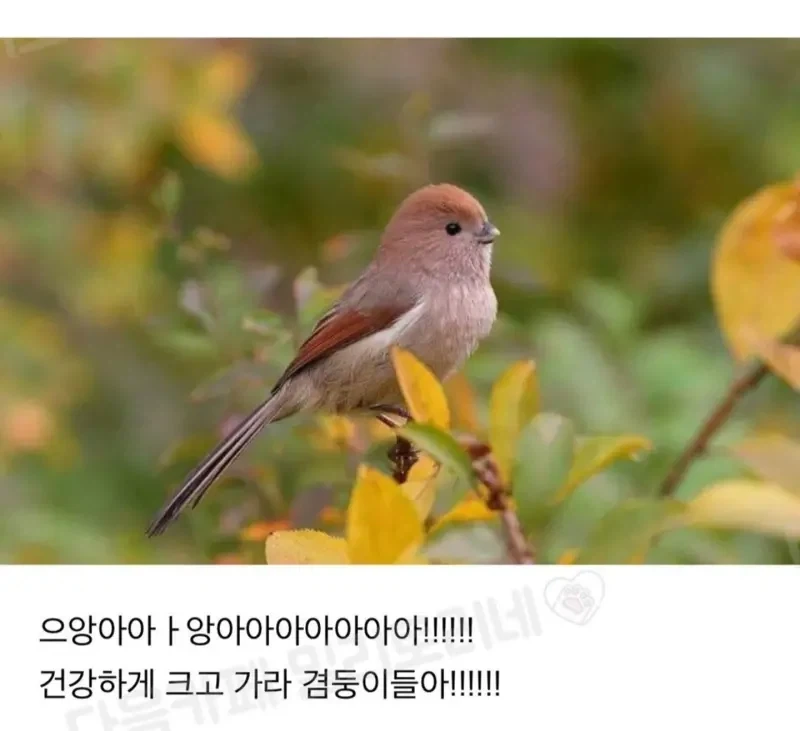 대박 우리집 하숙 들어왔는머?!_6.webp