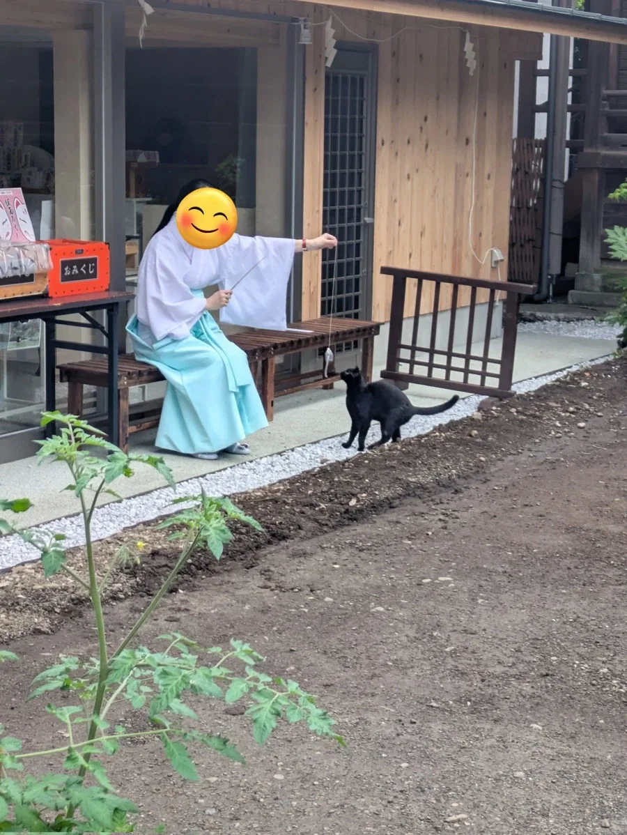 검은 고양이랑 노는 무녀.jpg_1.webp