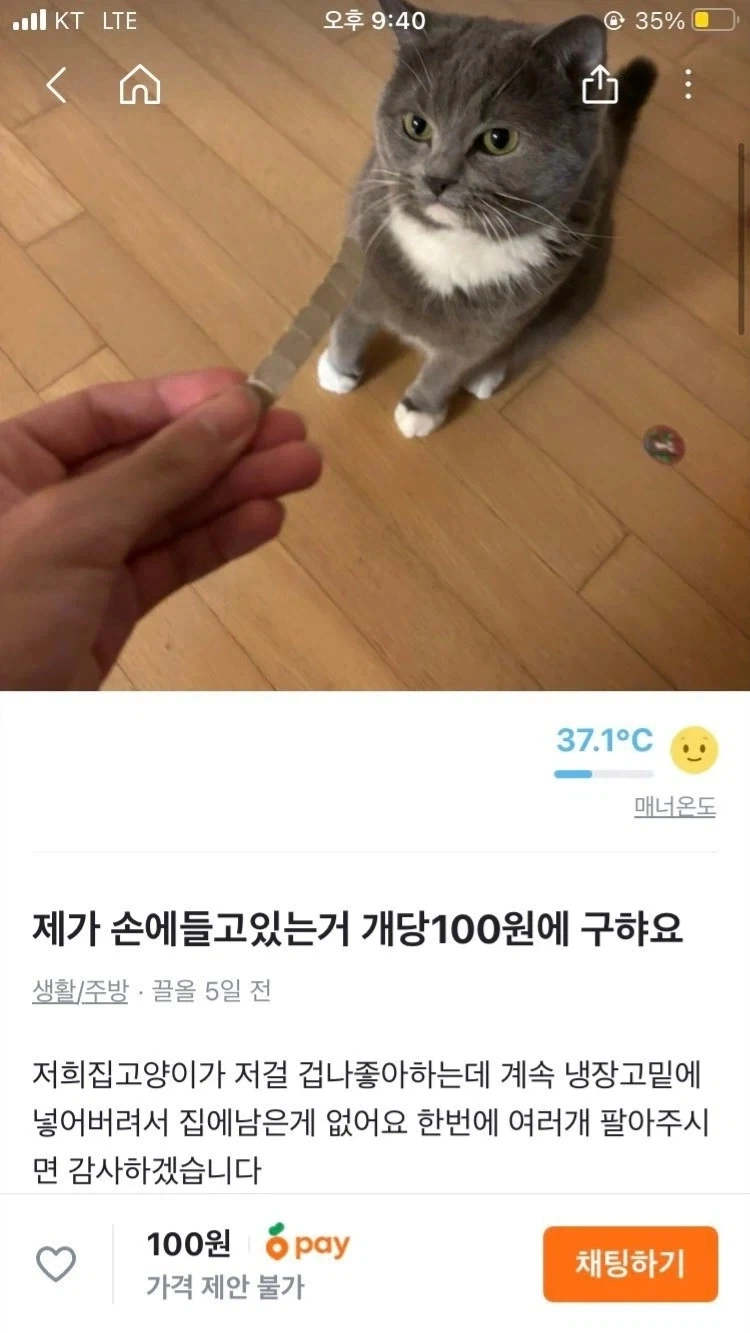 이름이 뭔지도 모르는거 산다는 사람_1.webp