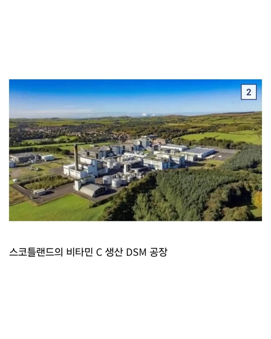 전세계에서 비타민C를 생산하는 단 2개의 나라.jpg_2.webp
