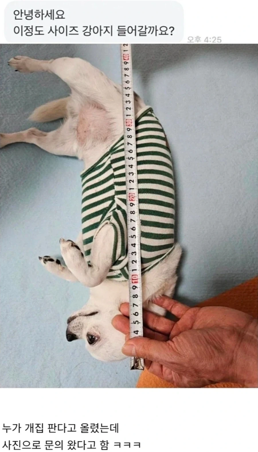 안녕하세요 개집 살려고 하는데요_1.webp