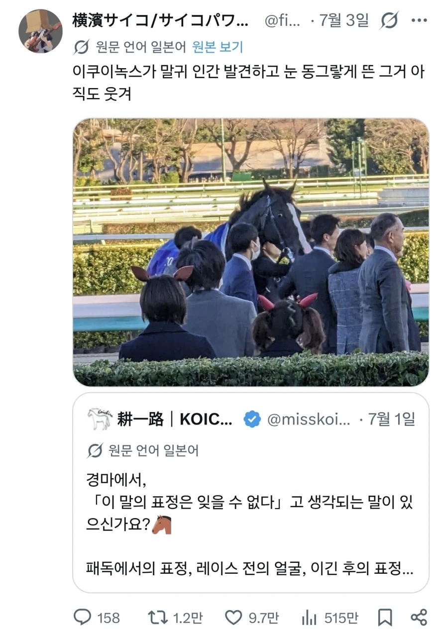 경마에 이 말의 표정은 잊을 수 없다 선수권_2.webp
