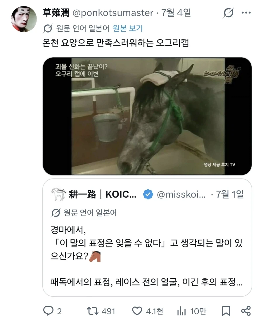 경마에 이 말의 표정은 잊을 수 없다 선수권_7.webp