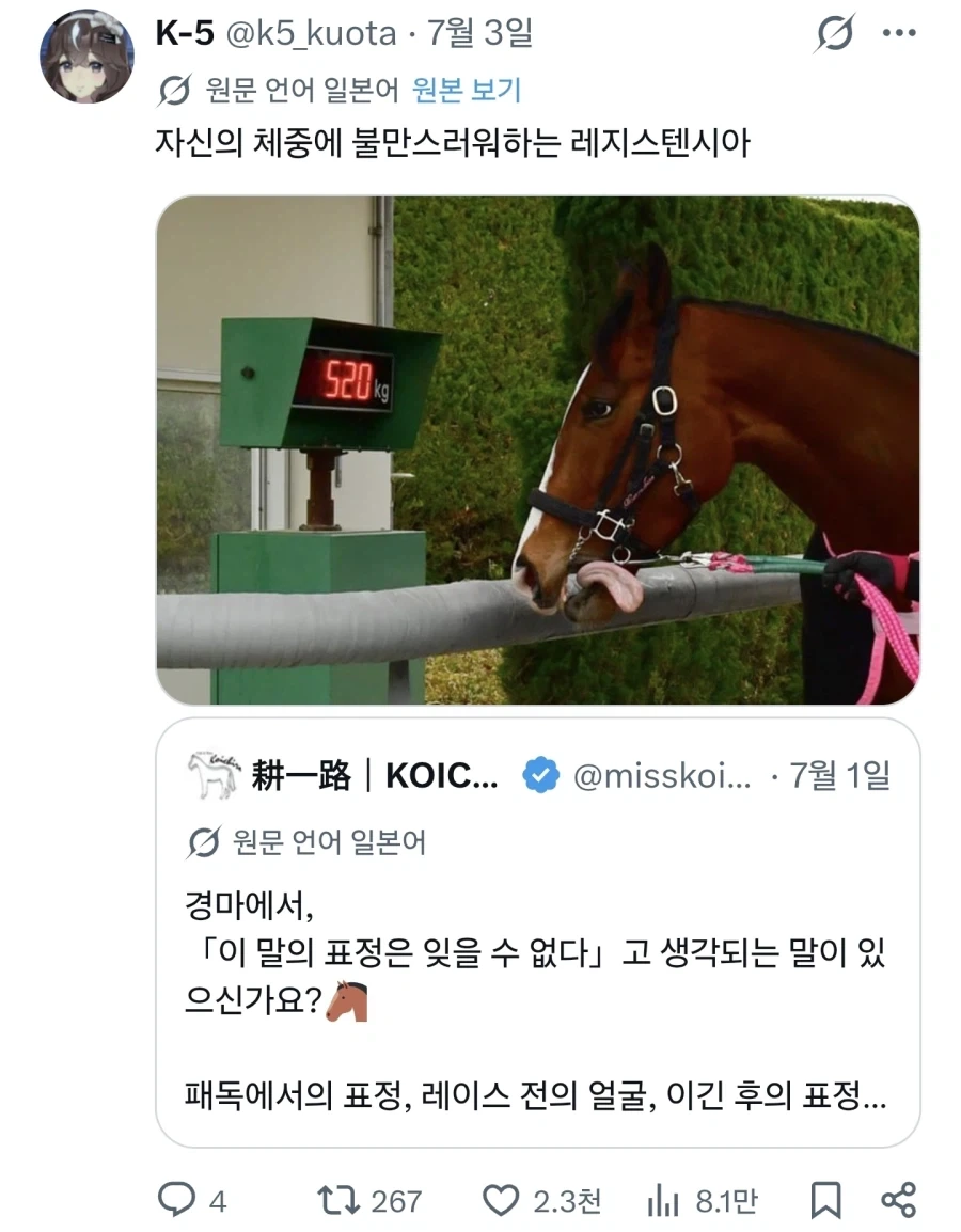 경마에 이 말의 표정은 잊을 수 없다 선수권_8.webp