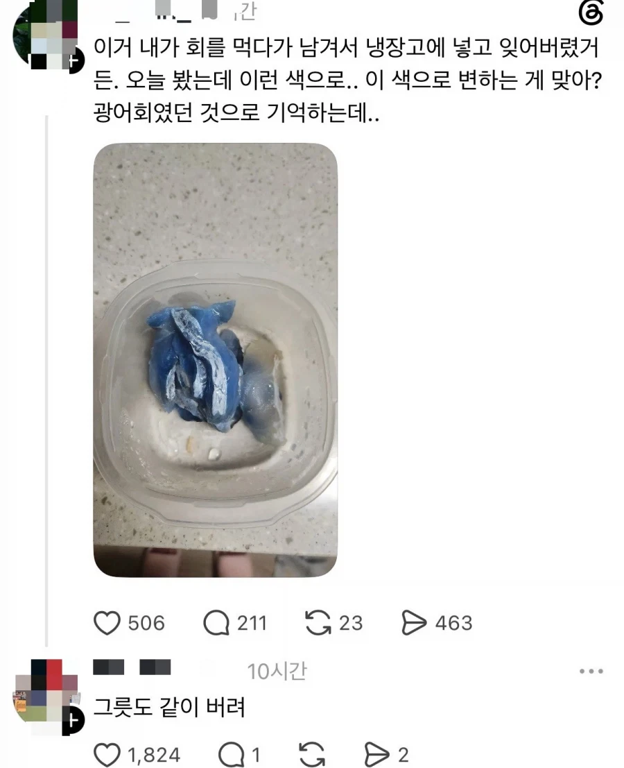 회였던 것_1.webp