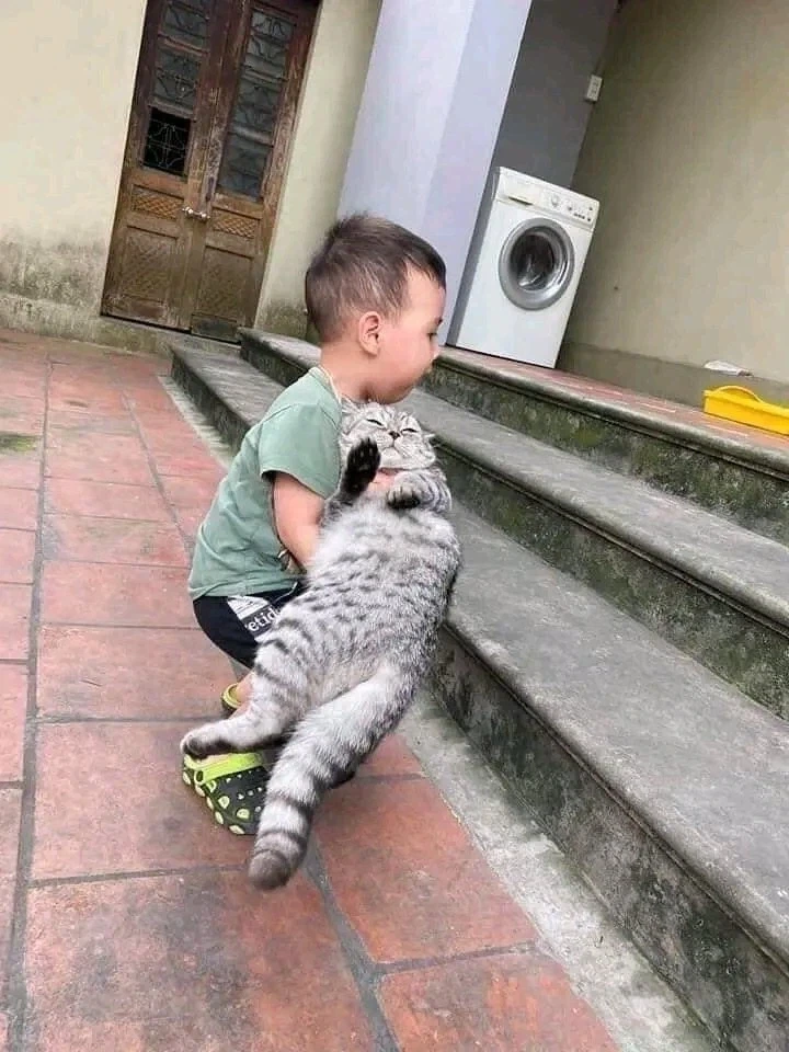 고양이: 넌 어떻게 된 게 성장이 느리냐? _2.webp