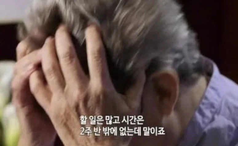 거장들도 일을 하기가 싫다_8.webp