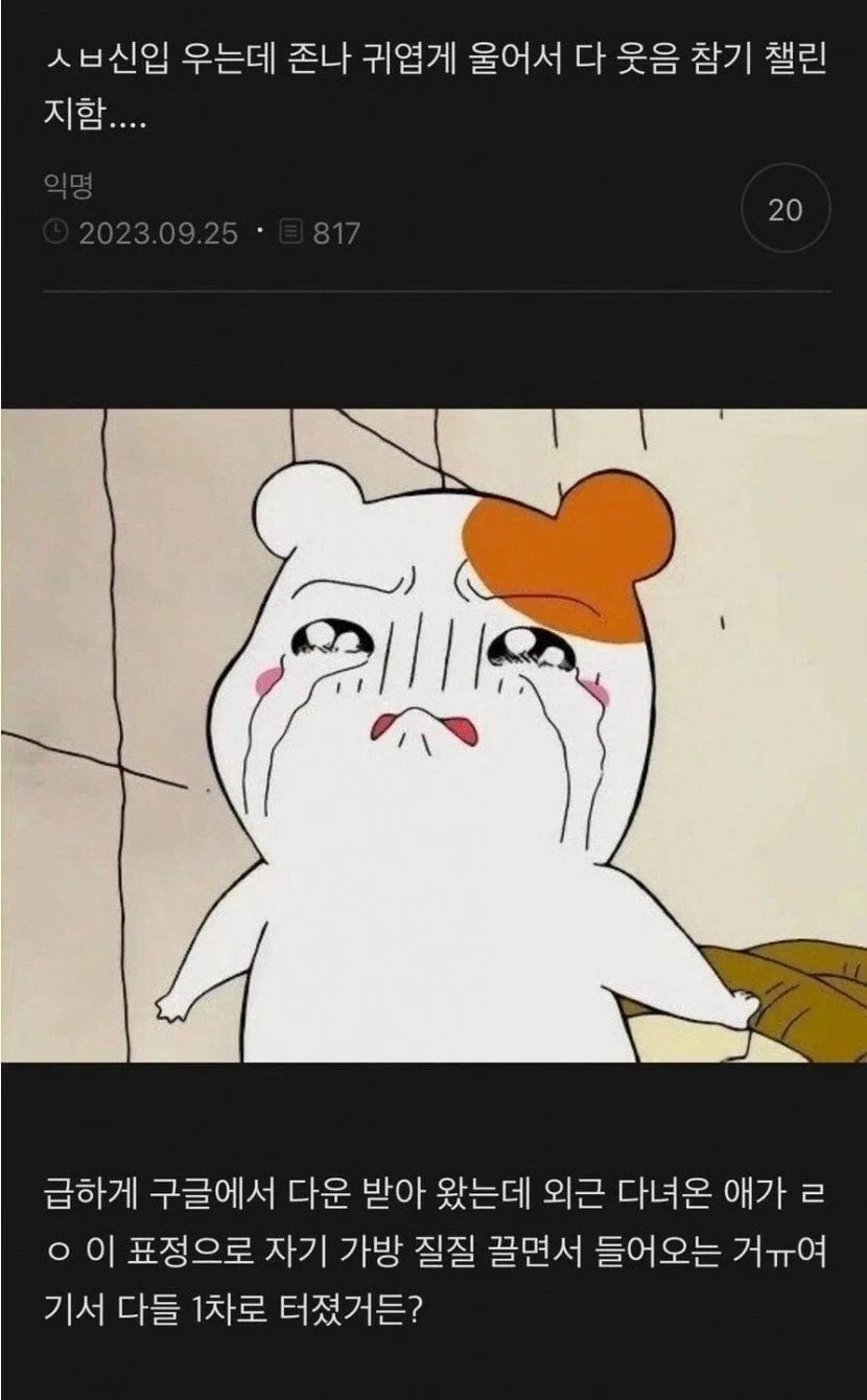 경악) 신입 우는데 웃는 동료들.jpg_1.webp