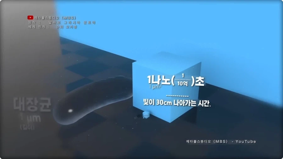 시간의 길이를 크기로 시각화 하면.jpg_6.webp