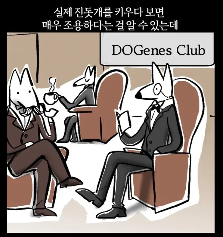 진돗개 키우다보면 알 수 있는 사실.jpg_1.webp