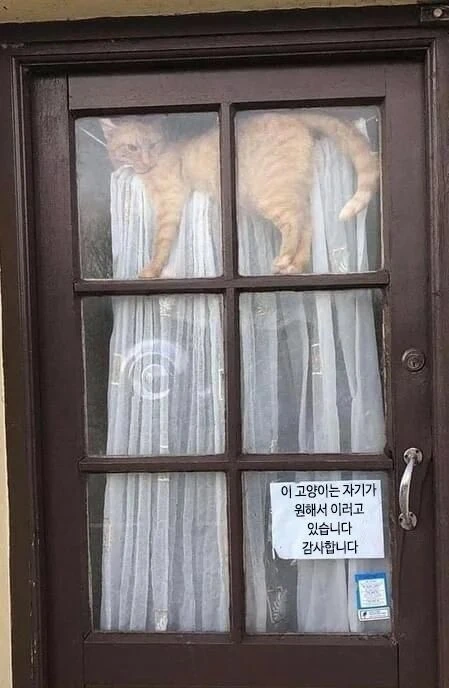 하도 오해해서 써놓은 문구_1.jpg
