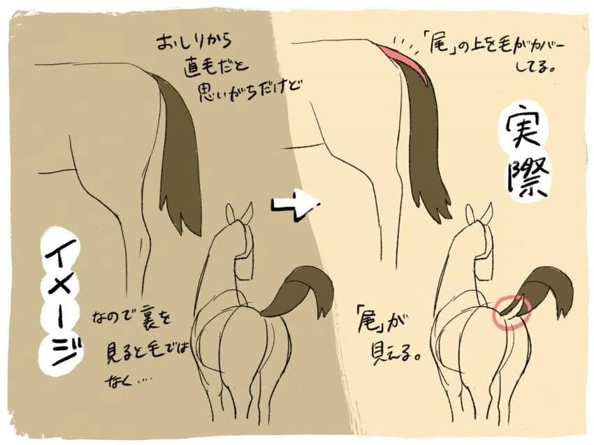 manga_2620322_001.webp