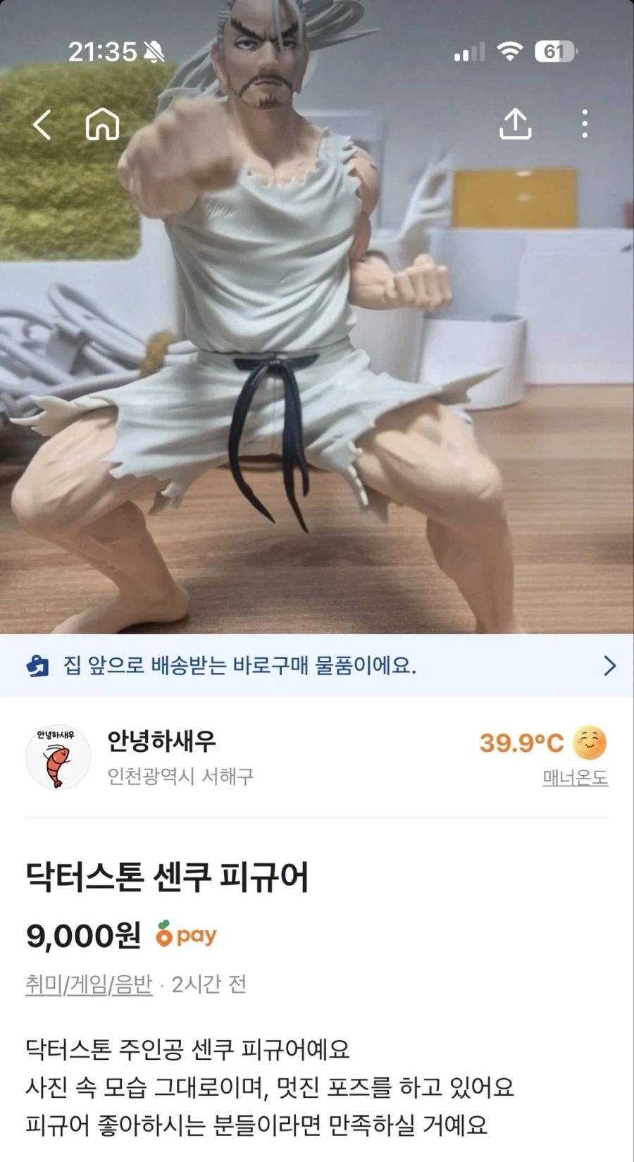 당근마켓에 올라온 닥터스톤 피규어_1.webp