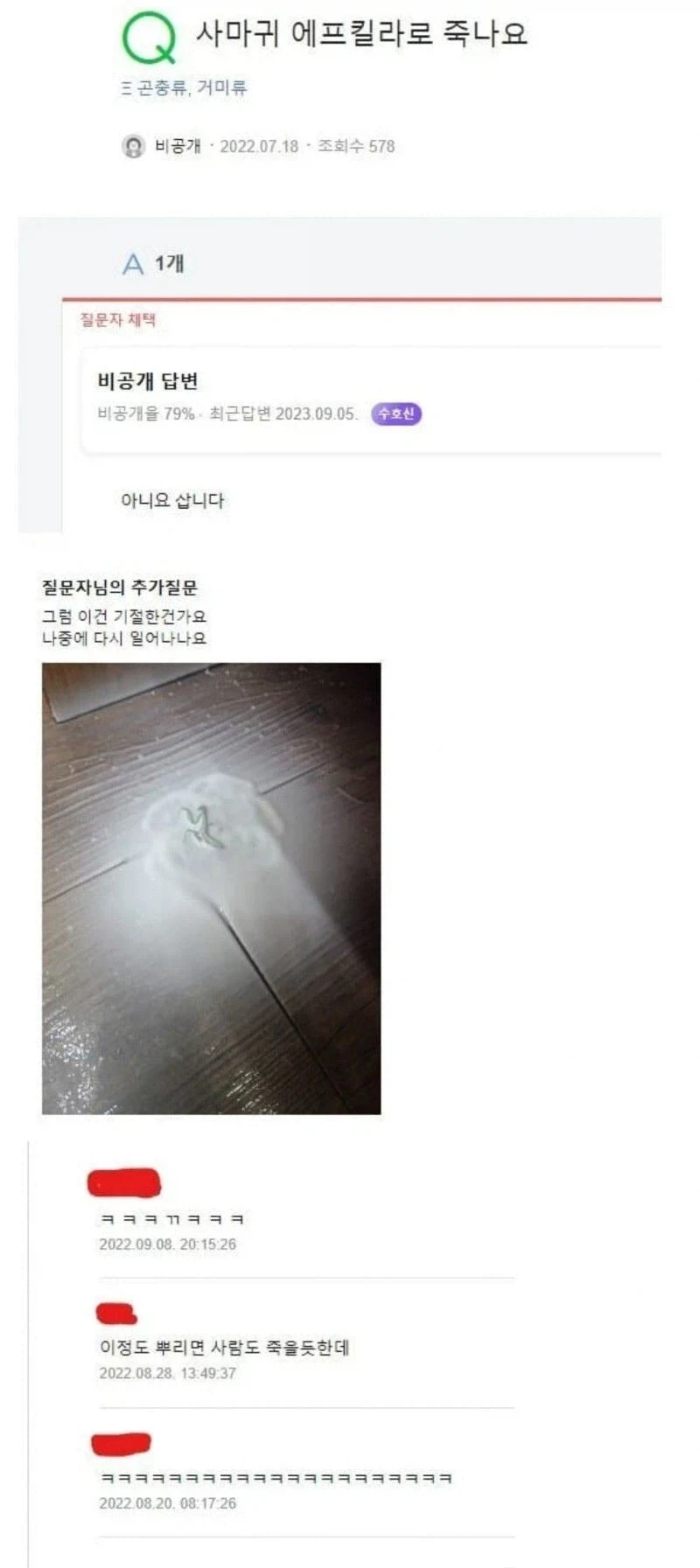 사마귀 에프킬라로 죽나요_1.webp
