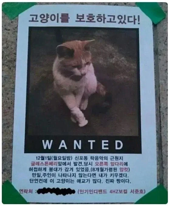 욕망이 가득한 실종 전단지.jpg_1.webp
