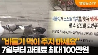 분명히 비둘기한테 먹이를 주는데 처벌을 안받는_1.webp