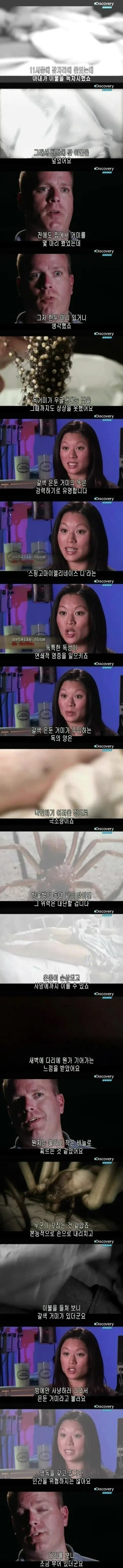 [극혐] 독거미한테 물려서 피부가 괴사한 사례.jpg_2.webp