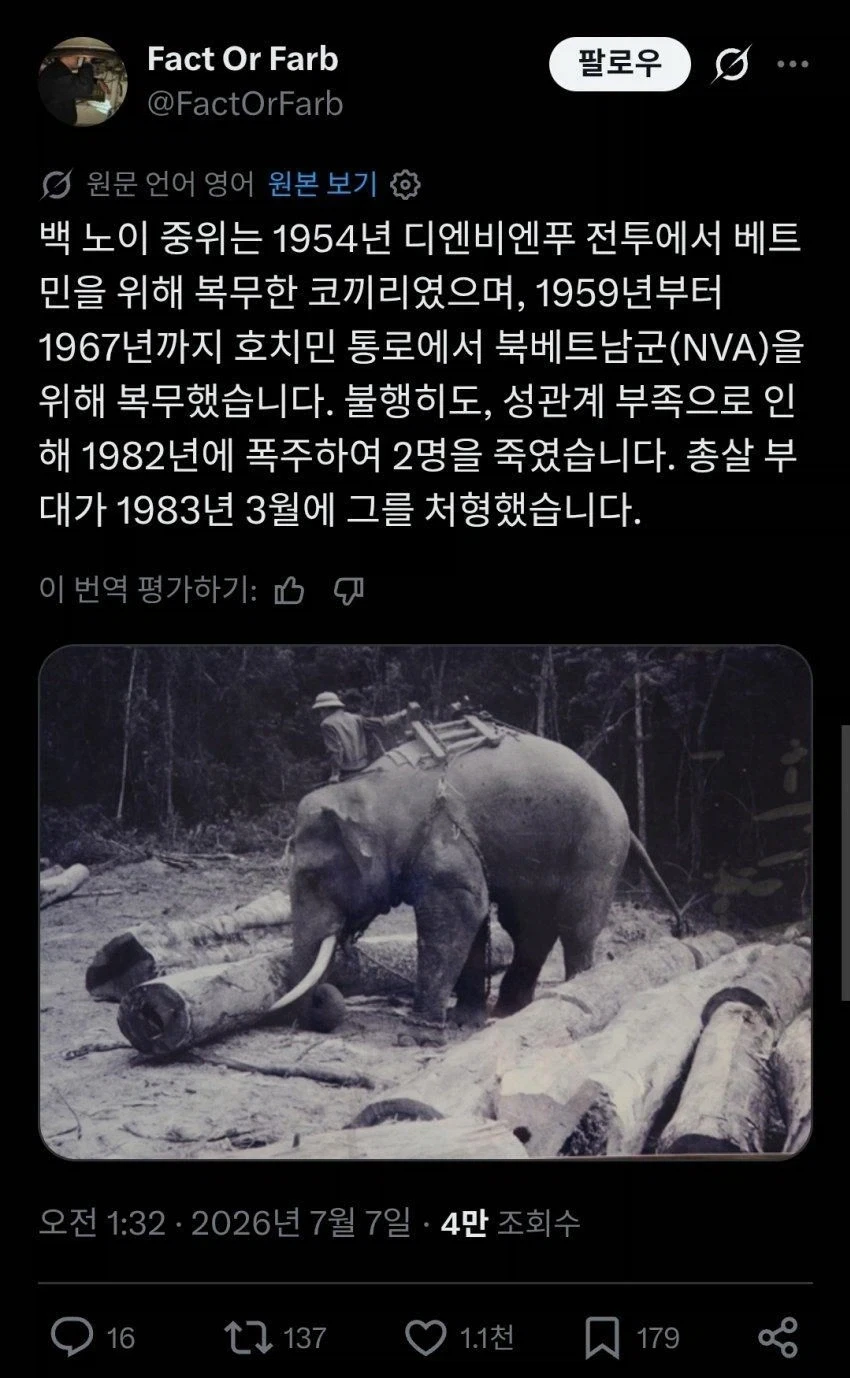 동료를에게 총살당한 중위_1.webp