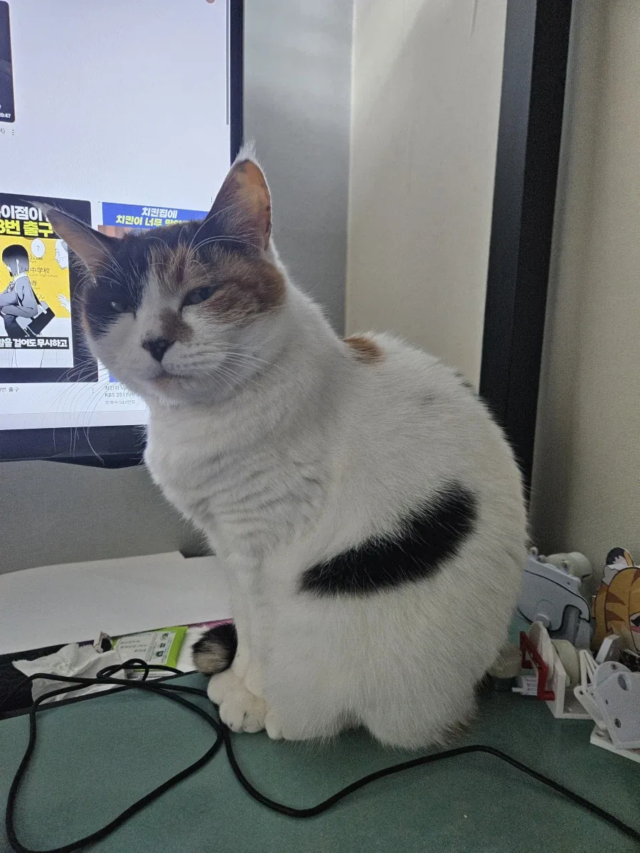 남자 주야간 영양제좀 추천해줘!_3.webp