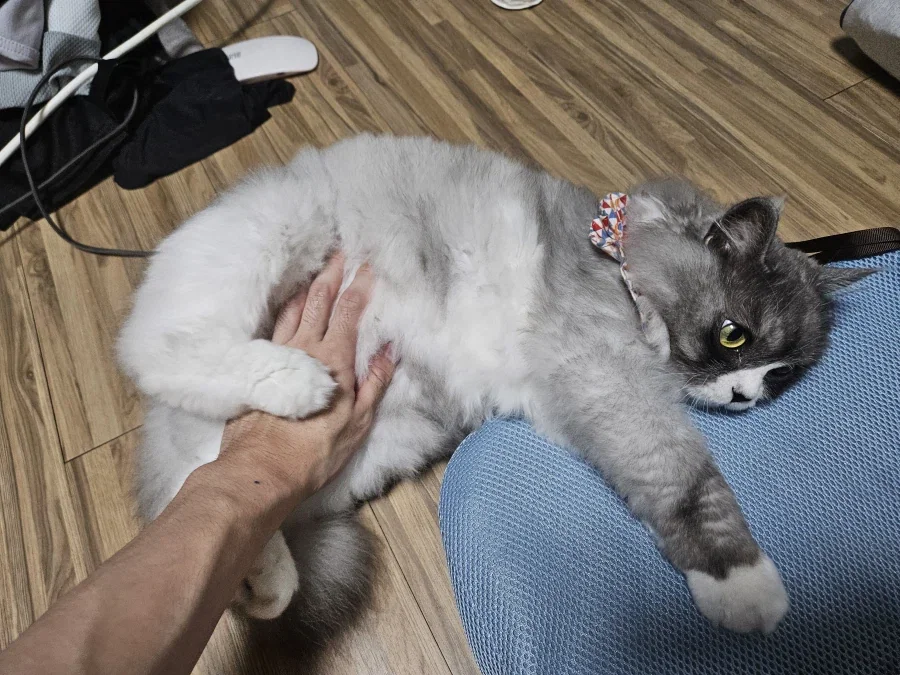 남자 주야간 영양제좀 추천해줘!_6.webp