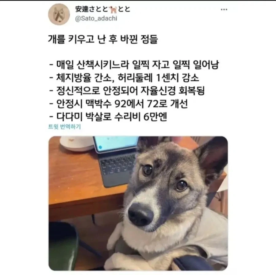 개를 키우고 난 후 바뀐 점들_1.webp