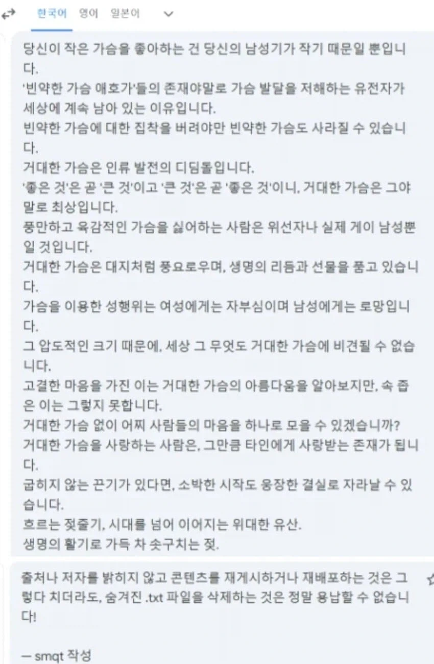 중국인이 거유 모드에 남긴 텍스트 파일_2.webp