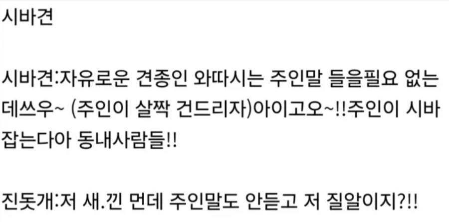 시바견과 상성이 안맞는 진돗개_2.webp