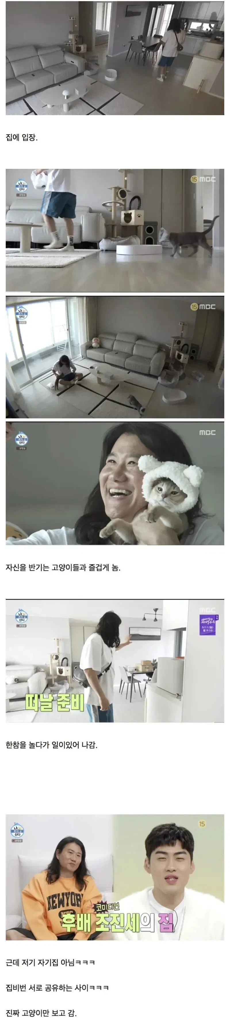 집에서 고양이랑 노는 임우일._1.webp