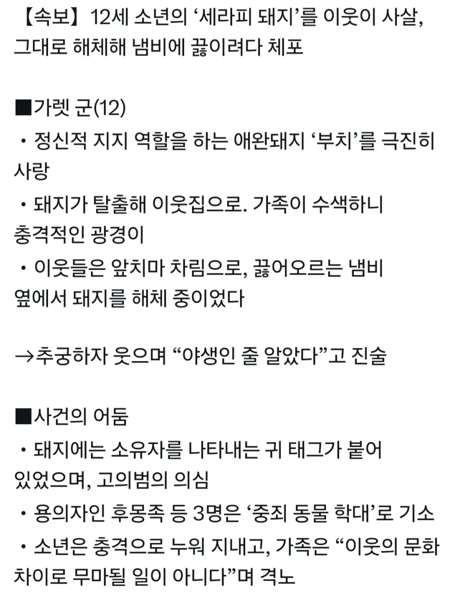 집돼지 행방불명 사건_1.webp