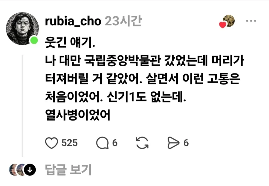 대만 박물관에서 속이 울렁거리는 경험 함.jpg_3.webp