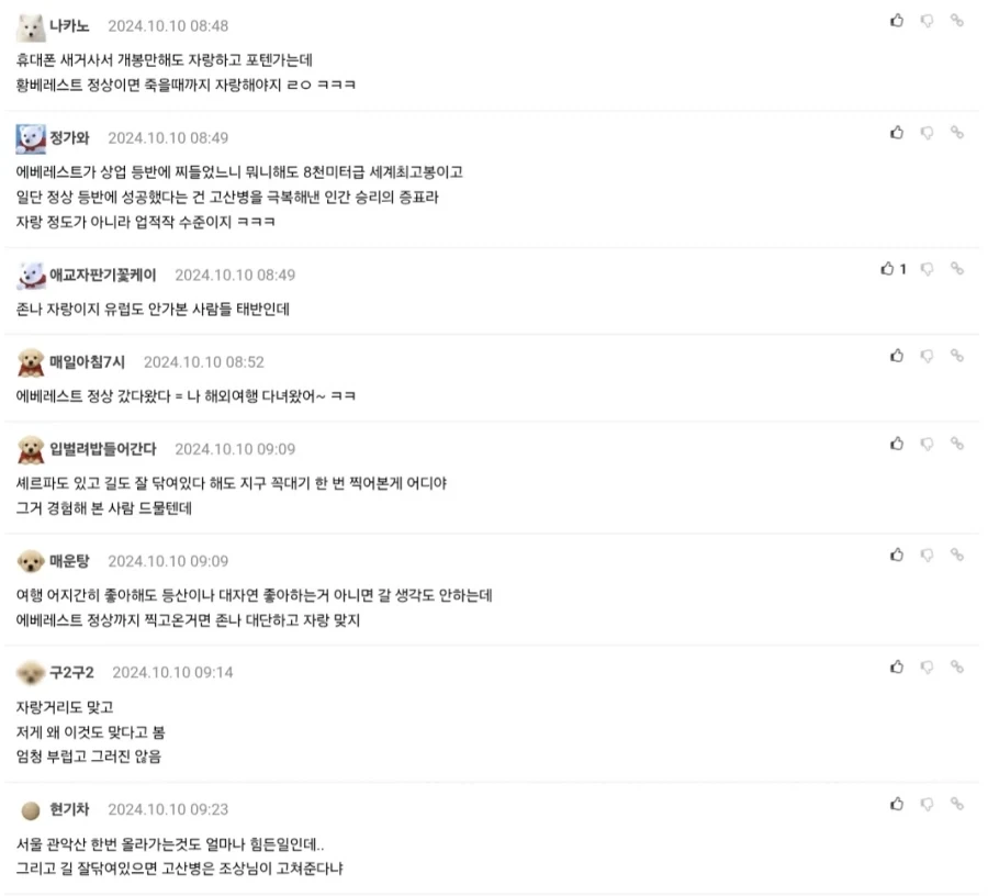 에베레스트 정상까지 갔다온건 자랑이다 vs 아니다.jpg_6.webp