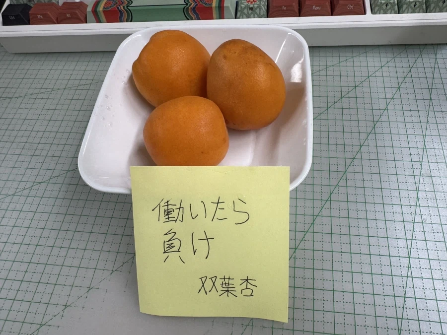지금이 재철이라 맛있는 과일_1.webp
