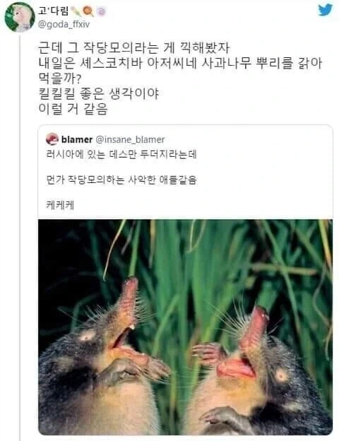 시1발 러시아 소설 좀 그만 봐요_1.webp