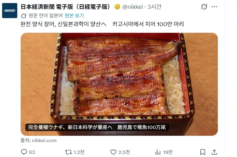 일본 장어 완전 양식에 성공.jpg_1.webp