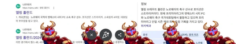 구글에 엘링 홀란드 검색하면 나오는것 ㅋㅋㅋㅋ_1.webp