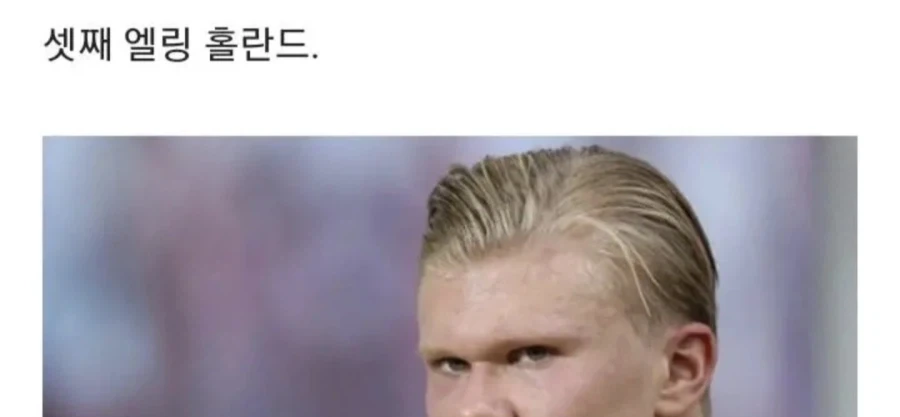홀란드 가문_4.webp